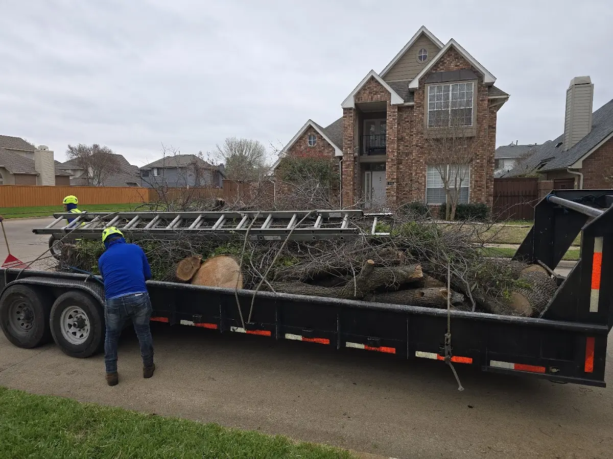 Expert Tree Fertilization with proper safety equipment in Yates Center
